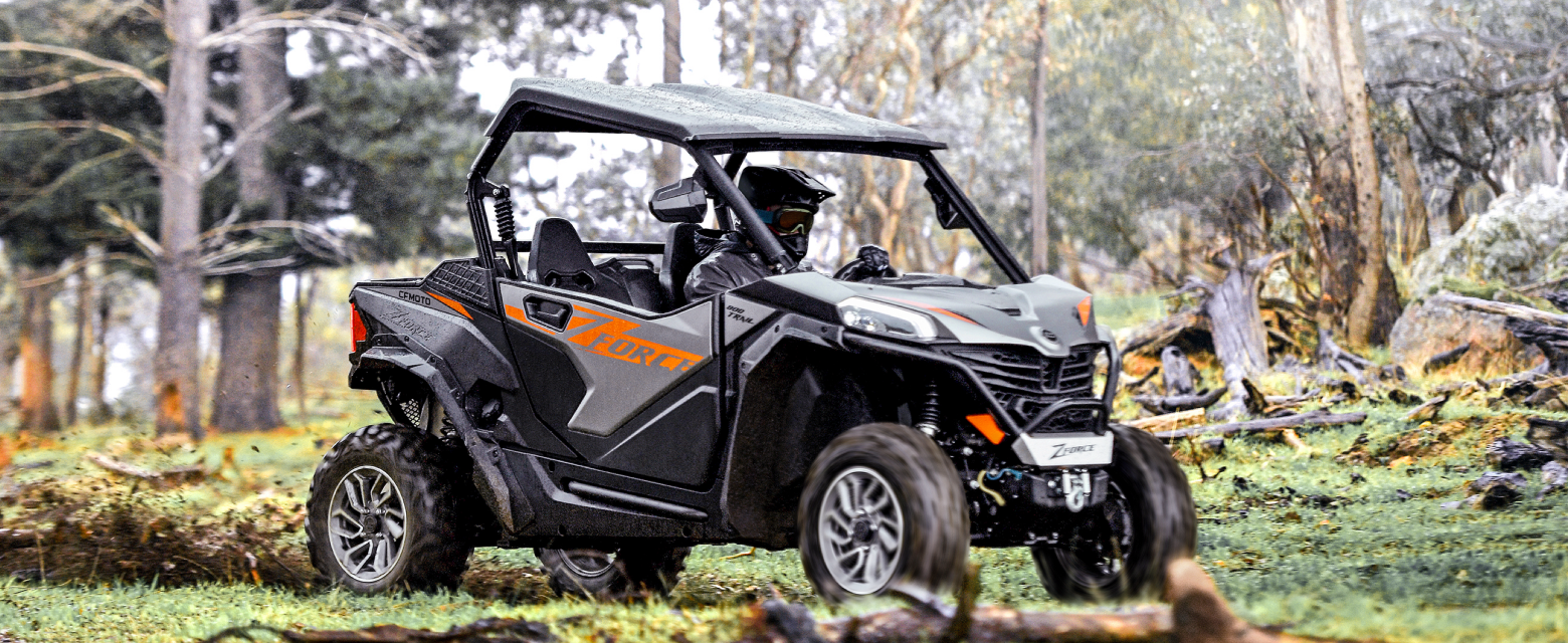 Buggy Zforce 800 Paisaje Montaña 2plazas