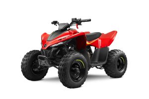 Quad Cfmoto Cforce110